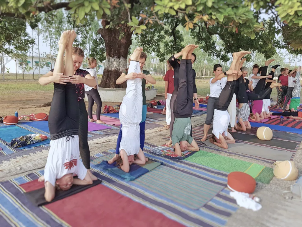 Top 7 Yoga Teacher Training Program in India 2023