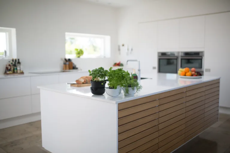 5 Appliances You Need In Your Homes Kitchen