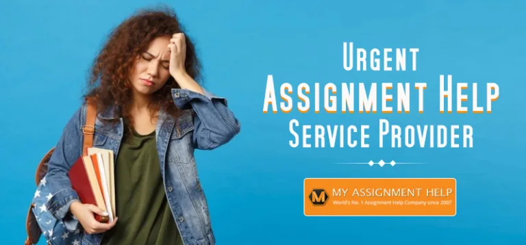 Urgent Assignment Help Service Provider
