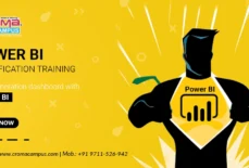 What Is The Scope Of Power BI?