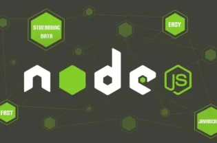 Why and When to Use Node.js For Your Projects