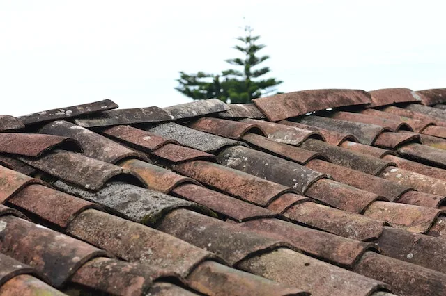 Worn out and damaged roof shingles