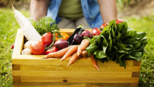 Consuming Organic Food Can Reduce Chronic Diseases
