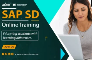 What are the Skill Sets Required to Turn Into an SAP SD Consultant?
