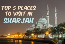 Top 5 Place to Visit in Sharjah