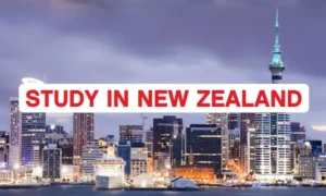 Why is New Zealand an Ideal Choice for Abroad Education?