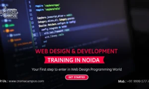 What are Some Applications of Web Development?