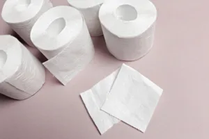 Bulk Toilet Paper