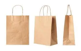  paper bags manufacturers in India