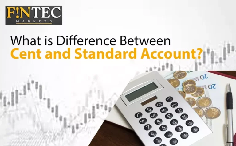 Difference between cent and standard