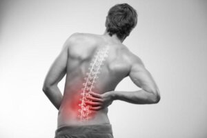back pain 4