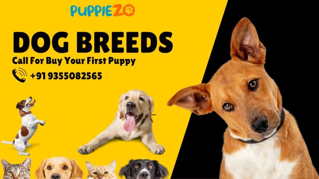 Best Dog Breeds in India