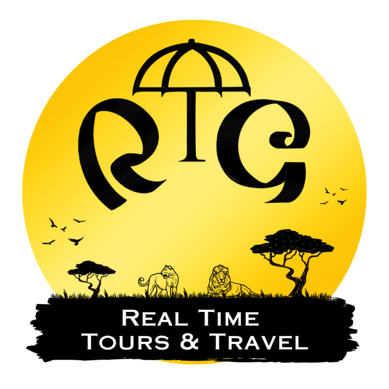 Real Time Tours Travel without background