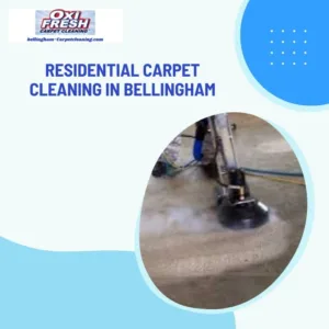 Bellinghams Premier Carpet Care Transforming Homes One Fiber at a Time 1