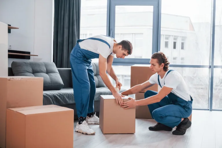 Packers and Movers in Lahore 2024
