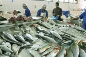 Fisheries & Aquaculture, Food Processing