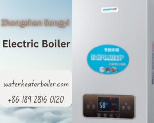 RV Gas Water Heater